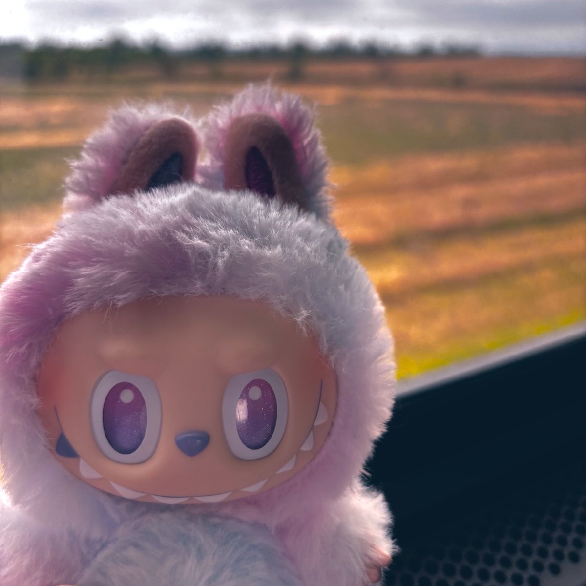 ChiVArtist's tweet photo. I’m officially on vacation! Going to see the other side of my family for a siblings graduation! 

I’ll use this thread to post pics of my trip and my labubu 🍵☁️ https://t.co/Rk6mjE6ZH8