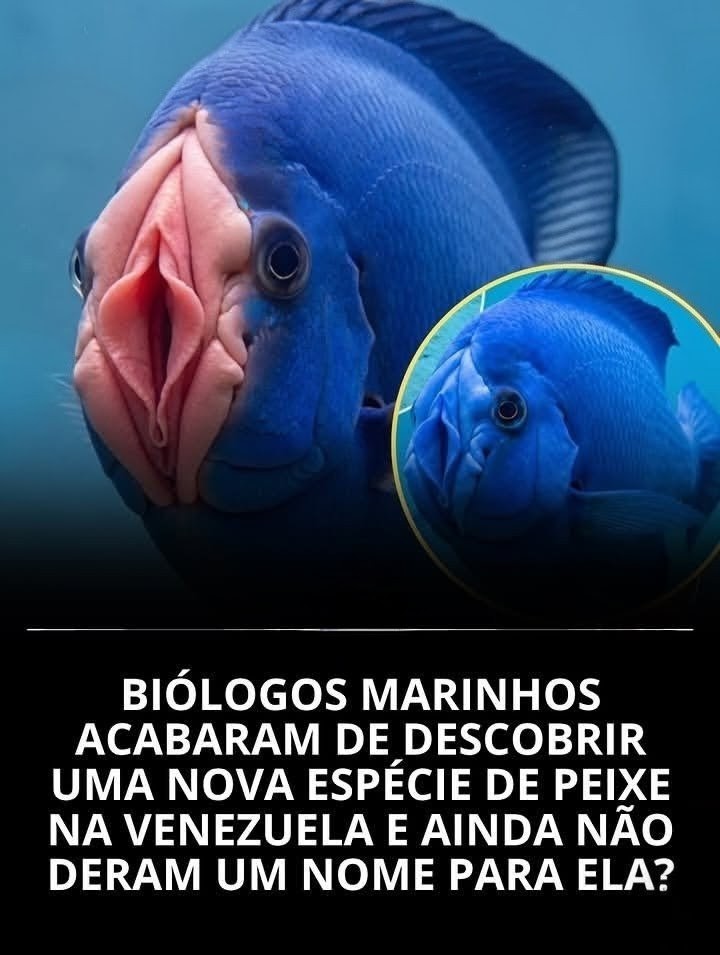 ℂ𝕝𝕒𝕦𝕕𝕚𝕒 🎀 tweet media