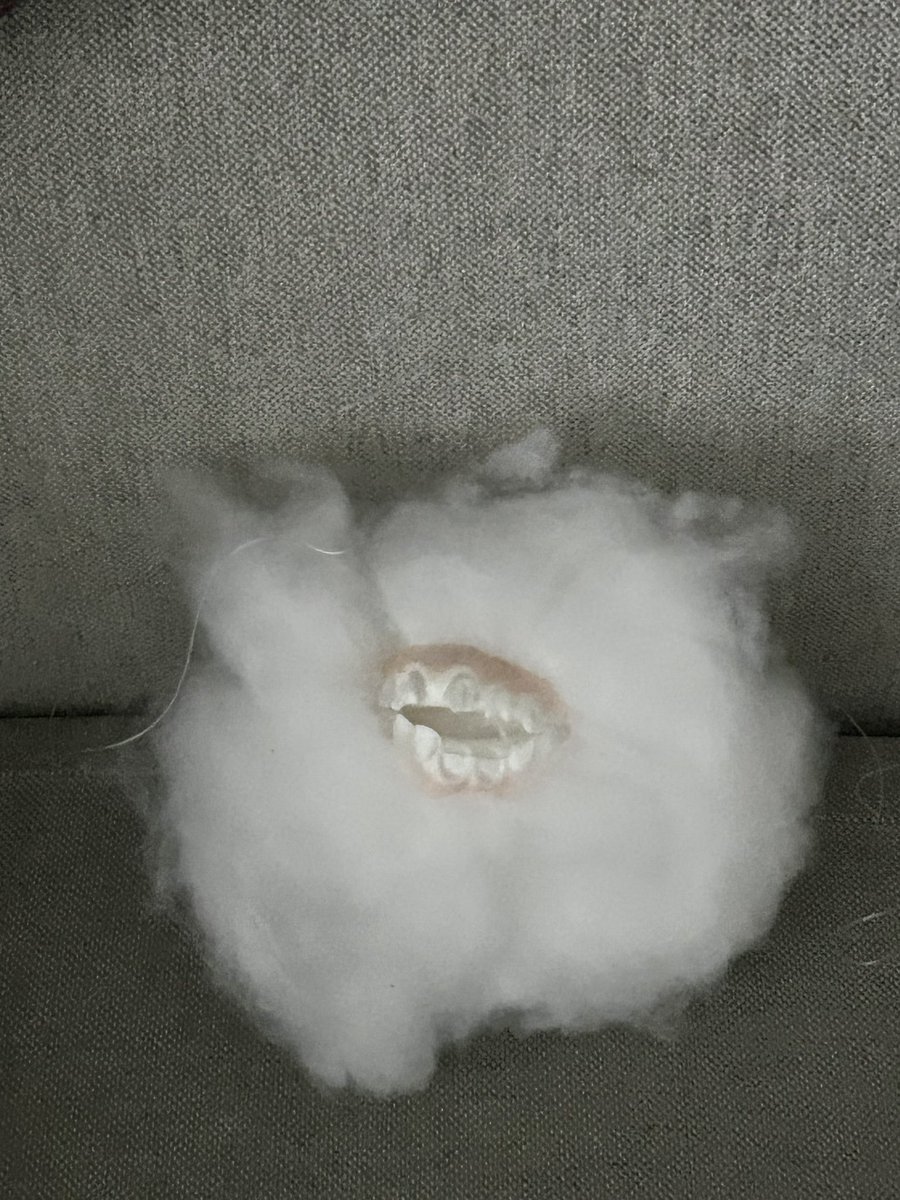 ASTR1DPIERCE's tweet photo. friend is staying over woke up to a cloud with teeth on the couch I don’t like it https://t.co/LYcxhXV3ic