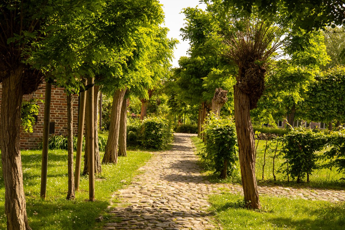 itsrapha83's tweet photo. A sunny day in Leuven🇧🇪 https://t.co/h38cJsVnCK
