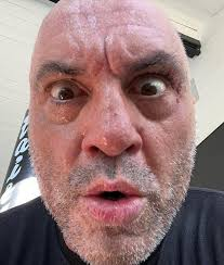 _TAJS_'s tweet photo. @GaintrustMikey Is this Mikey or Joe Rogan?🤔 https://t.co/umTTNozY8k