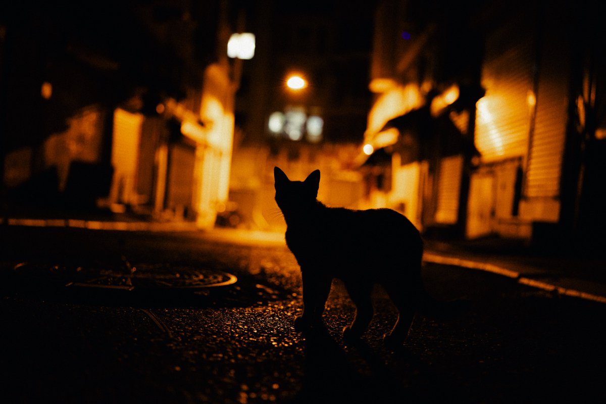 matsefcik's tweet photo. A night in Istanbul https://t.co/jdJtuOZ6XX