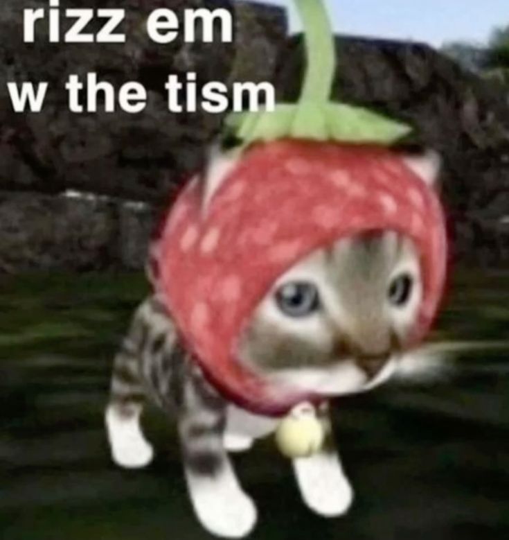 cats being cats tweet media
