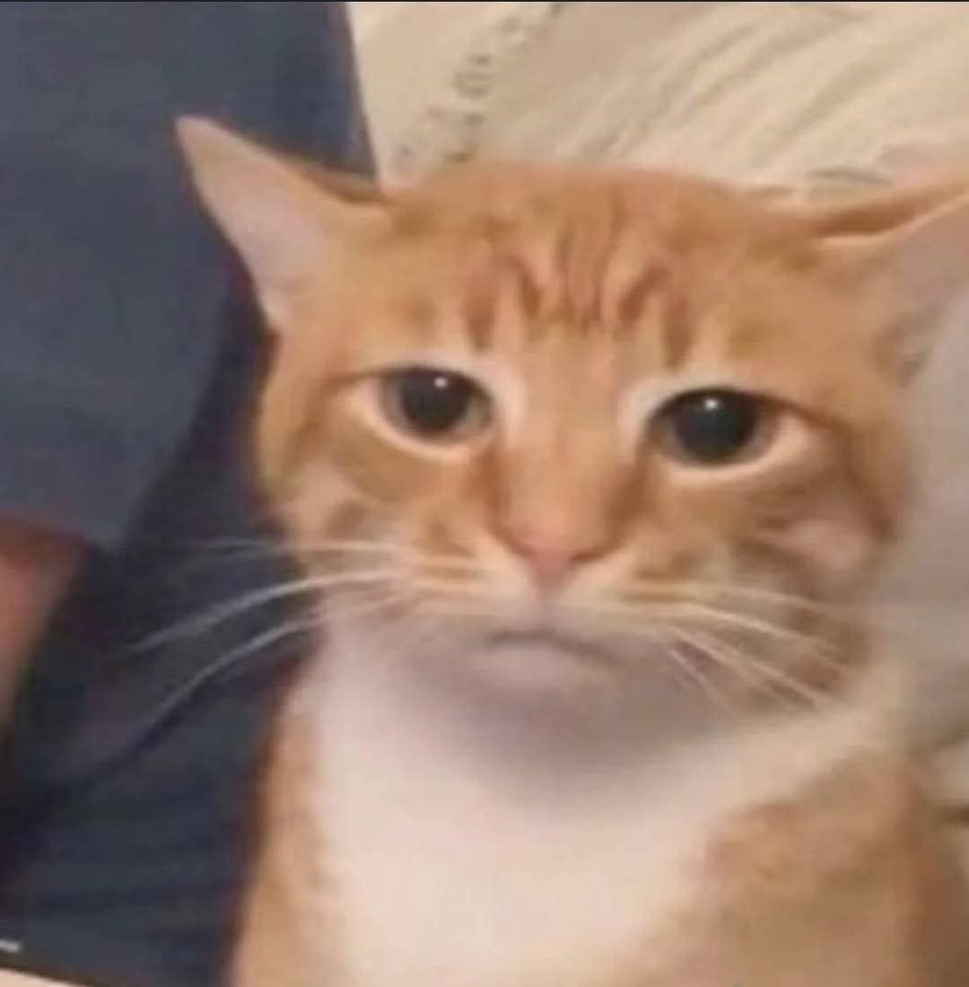 Ping7731's tweet photo. Everyone going to twitch con sobbingggggg https://t.co/kb6VnrK6mb