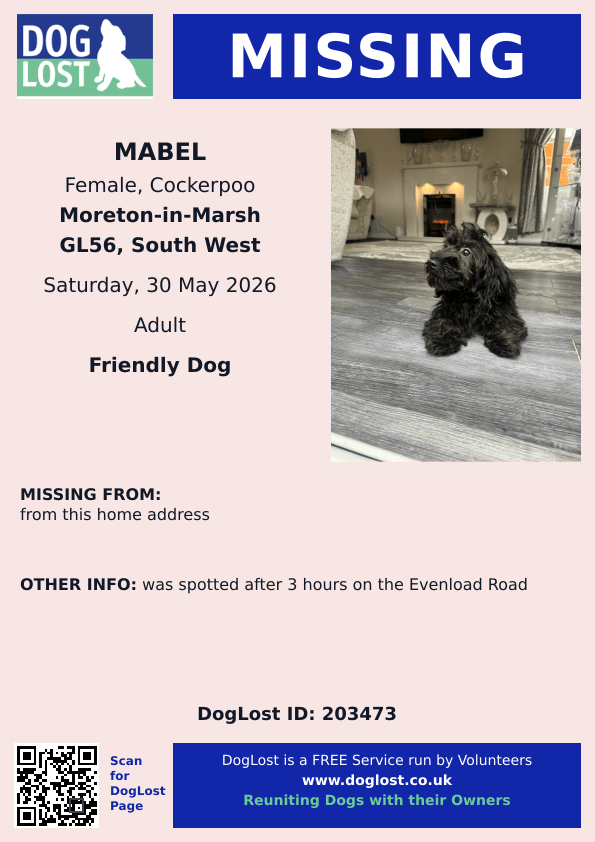 millypod1's tweet photo. 🆘30 MAY 2026 #Lost Mabel #ScanMe
Cockerpoo Female
#MoretonInMarsh #Gloucestershire #GL56 
Moreton-in-Marsh 
Was spotted after 3 hours on the Evenload Road
https://t.co/O9zpYPvgQl https://t.co/ziKQgLssgJ