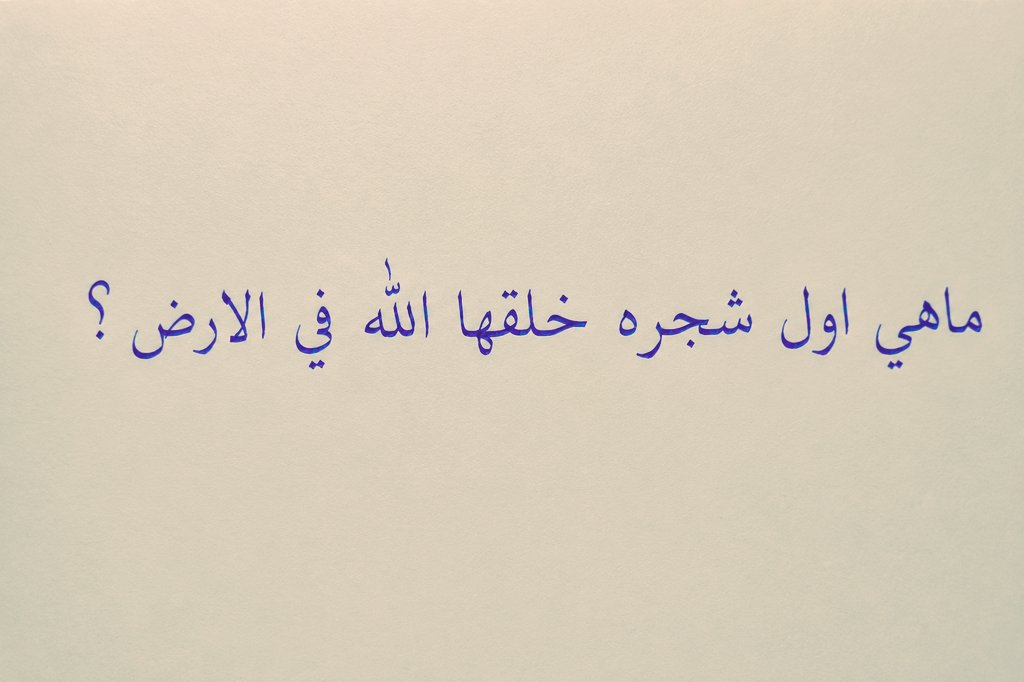 Raidan Shuaibi tweet media