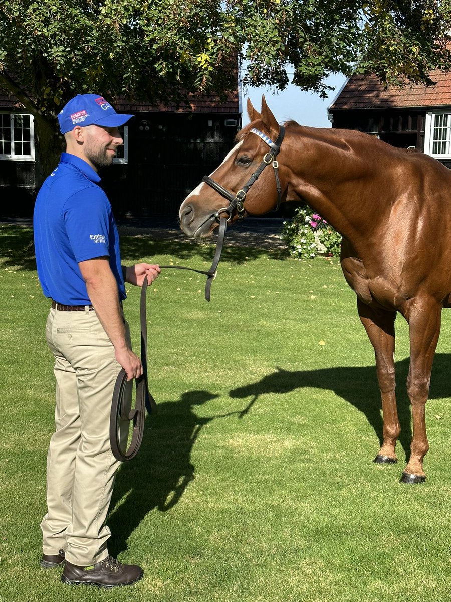 KittyTrice's tweet photo. Really lovely to see Masar in a rich vein of form. He’s had recent two-year-old winners Sword Salute and Tina Fromtransport, as well as 1,000 Guineas third and Oaks hopeful Venetian Lace. His Haydock Listed scorer Dreamasar looks Group class too. https://t.co/KylKd6IsPf