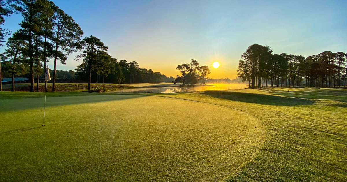 MBTrips's tweet photo. SouthCreek Surprises: Why This Palmer Design Should Be on Your Myrtle Beach Itinerary || Read Story: https://t.co/BmmV82RpCS

#MyrtleBeachGolf https://t.co/JhwBM8tqn0