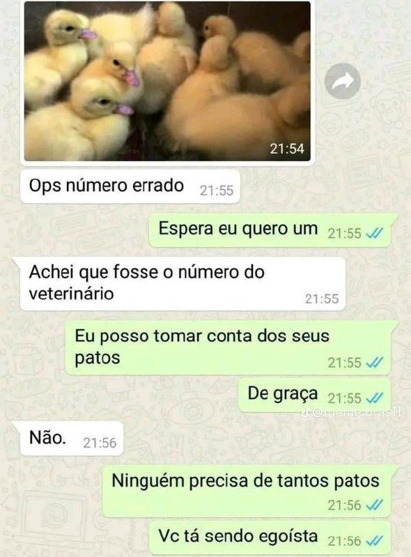 memes extremamente horríveis (ou bons) tweet media