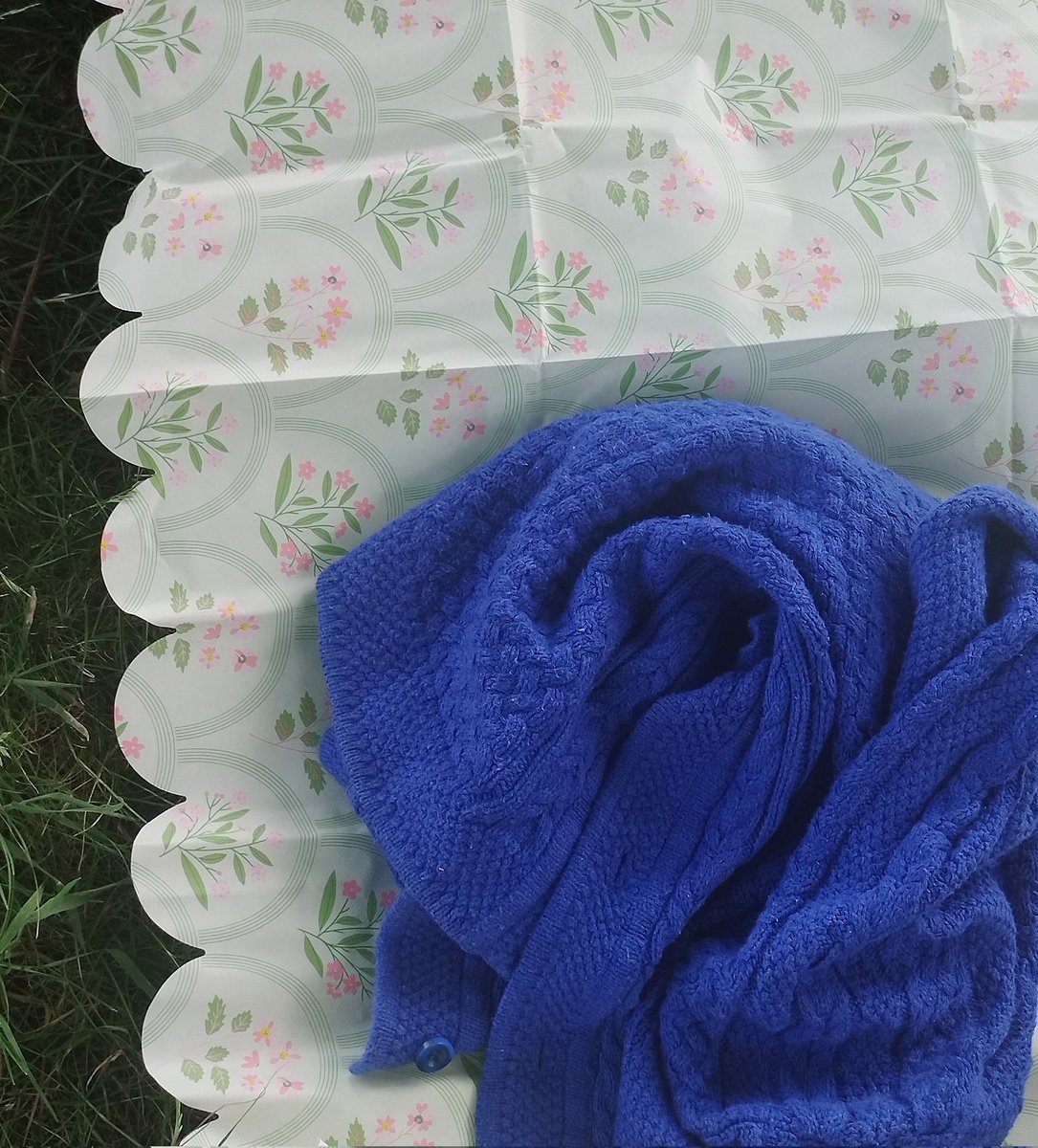 ancientblooming's tweet photo. Picnic today. Saw two deer, ate copious amounts of beetroot hummus under a tree, walked in the woods, befriended a few jackdaws. Life in spring https://t.co/q906NzwVyD