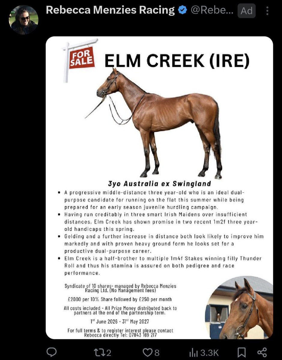 armpitdoe's tweet photo. this website used to get normal ads and now they're trying to sell me a racehorse https://t.co/PQQdKbrInG