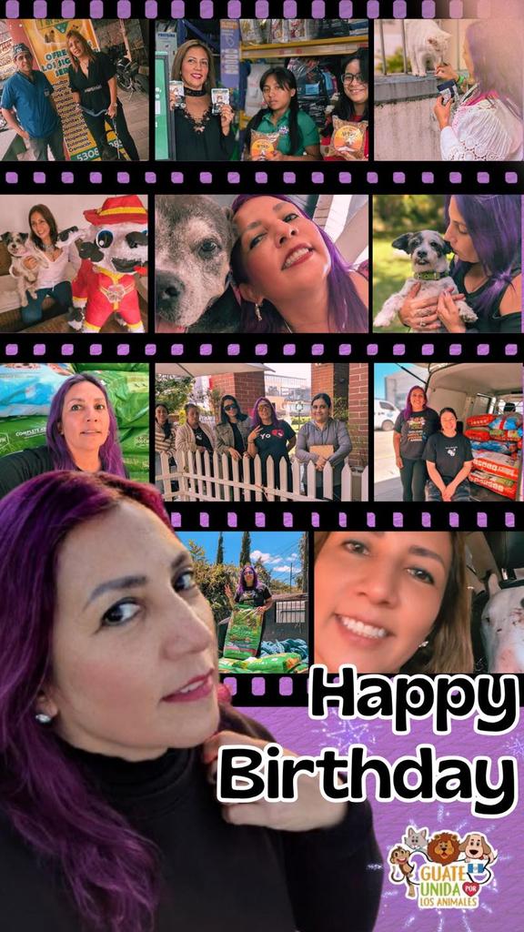 guatexanimales2's tweet photo. Ayúdanos a desearle un ¡Feliz cumpleaños a nuestra legendaria directora, Alejandra! 🥳
Querida Jefa:
Sinceramente, no conocemos a otra persona en el mundo de los refugios, el control de animales o el rescate que haya logrado lo que tú has logrado. https://t.co/KahLUBlCzE