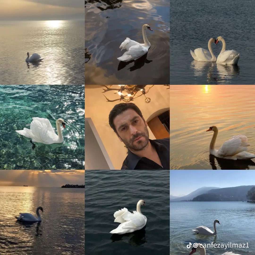 müno 🇭🇰 tweet media