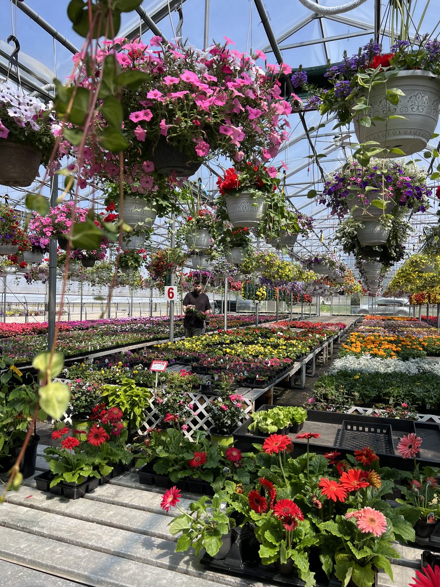 NYFarmer tweet media