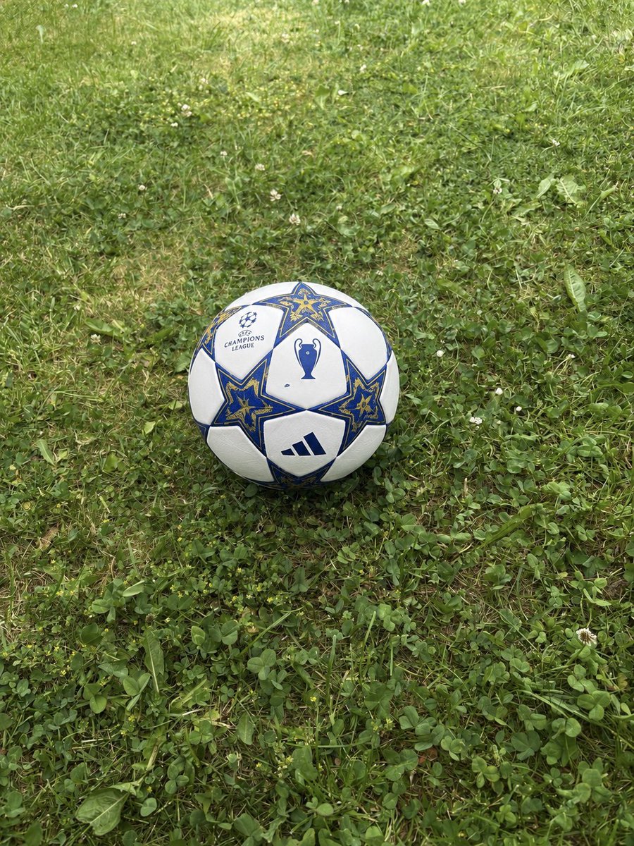 TheLukeBeck's tweet photo. ITS JUST LANDED IN MY GARDEN HAHAHHAHAHAHAH 🤣🤣🤣🤣🤣🤣 #champi̇onsleaguefinal https://t.co/R0PteNqAqD