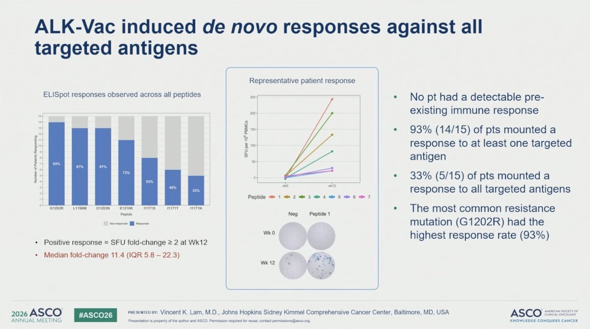StephenVLiu's tweet photo. Dr. Vincent Lam presents ARCHER trial at #ASCO26: ALK-Vac (prophylactic peptide vaccine) in pts receiving ALK TKI therapy ≥4m with goal of preventing acquired on-target resistance. No SAEs or unacceptable toxicity, encouraging immune responses, only 1 PD so far (KRAS bypass). https://t.co/fpkqpk9Fz9