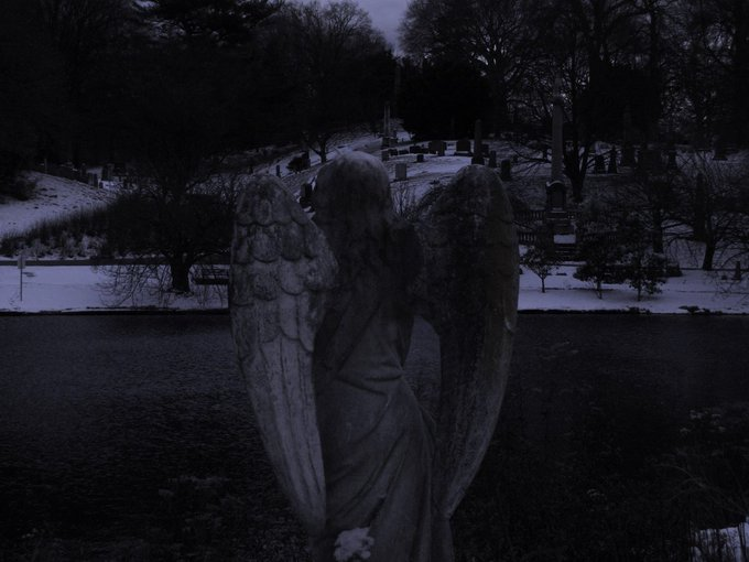 ☩ tweet media