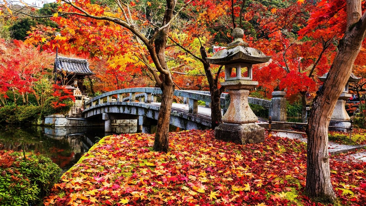 VacationsLotus's tweet photo. Would you rather spend a week exploring...

A) Tokyo’s futuristic city life 🏙️ 
or 
B) Kyoto’s traditional temples and gardens ⛩️

https://t.co/iDeLui62Hx

#Travel #customers #UK #blvs #streetwalker #vacationmode #trustpilot #japan #poll https://t.co/rljhjKH6O0