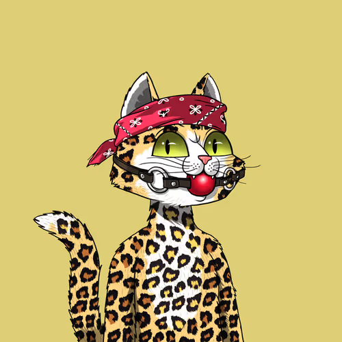 localcryptogod's tweet photo. Happy Caturday! https://t.co/PLDffzQfKo