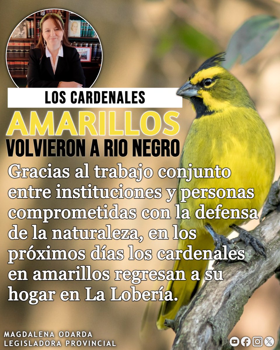 MagdalenaOdarda's tweet photo. https://t.co/xEc5cfI52P