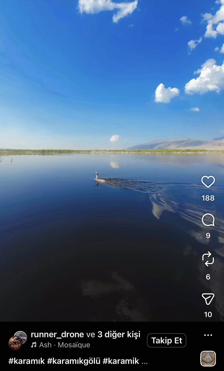 alpertuydes's tweet photo. Bu drone işi giderek çirkinleşiyor. Aşağıdaki görüntülerde kuşun uçması için dibine kadar defalarca gidiyorlar. Bunu beğeni alır diye yapıyorlar. Beğenmek yerine tepkinizi belirtirseniz sanıyorum yapmazlar. @milliparklar ‘ın bu konuda da bir caydırıcı tedbiri alması önemli zira günden güne artıyor bu görüntüler