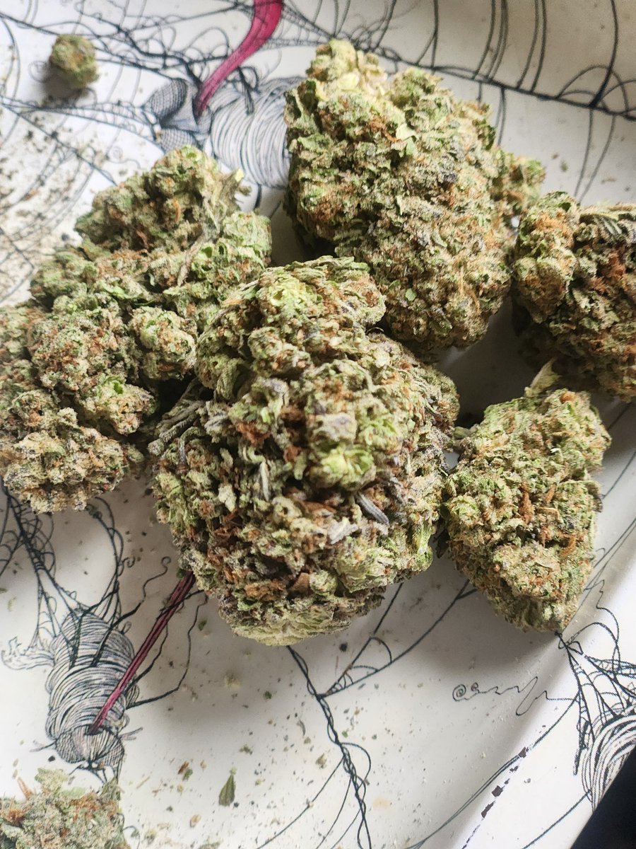 McWickedRandom's tweet photo. Came in today. Formula one. Good strain. Smell isn't strong but the effect is! Hits good! https://t.co/UP7wt8i6U6