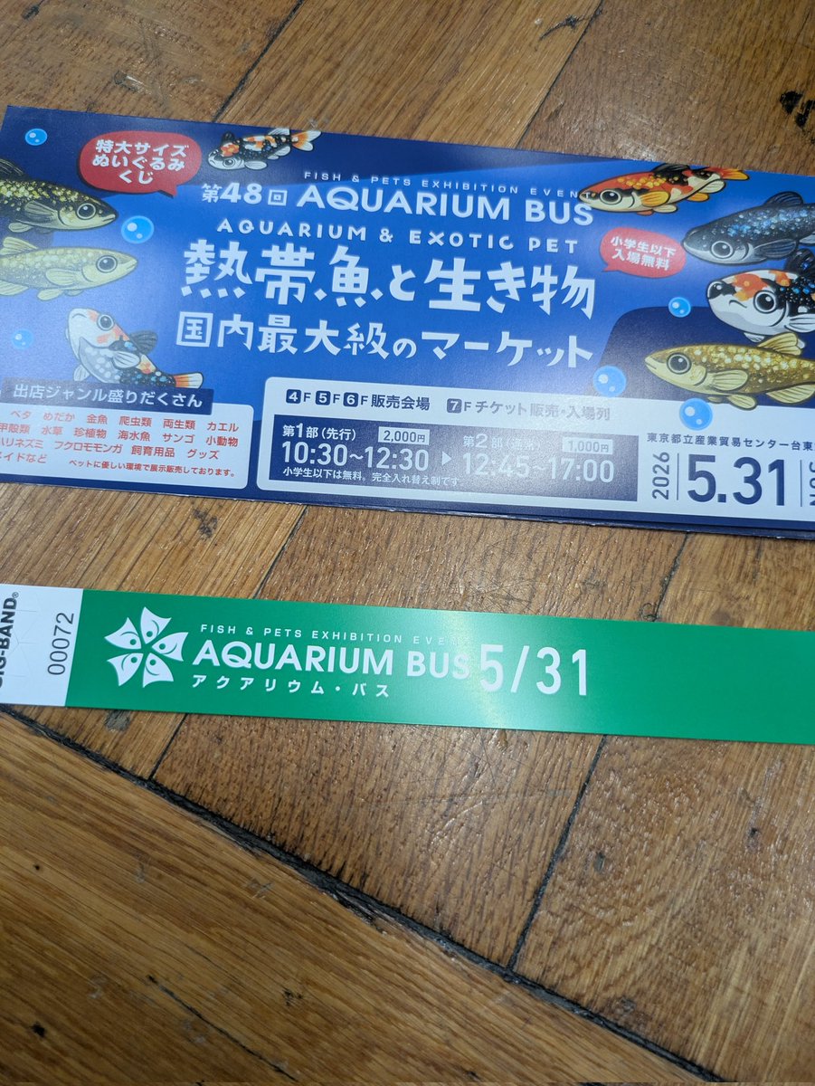 GuildStarDust's tweet photo. 今日はお休み、朝から東京@aquariumbus 
　
卓球じゃないよーん🦐

#アクアリウムバス https://t.co/CAbNLadzvt