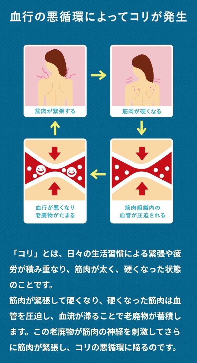 🐥シン・アヒルの神🐥シュウ tweet media