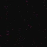 GalaXofficial's tweet photo. @Fortnite 8067-9306-5319 https://t.co/bXsQsBZyy8