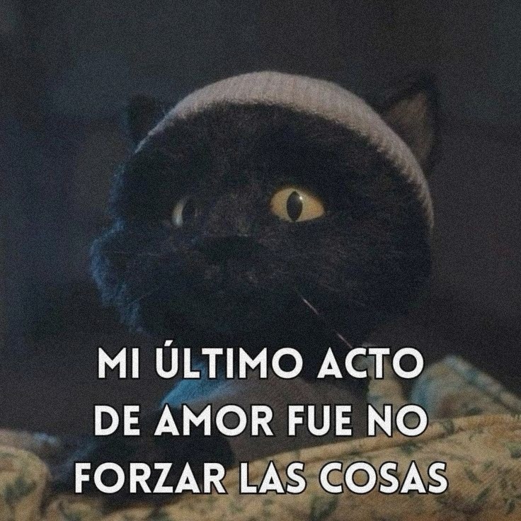 LaConstelada's tweet photo. https://t.co/NQ8ActN6gU