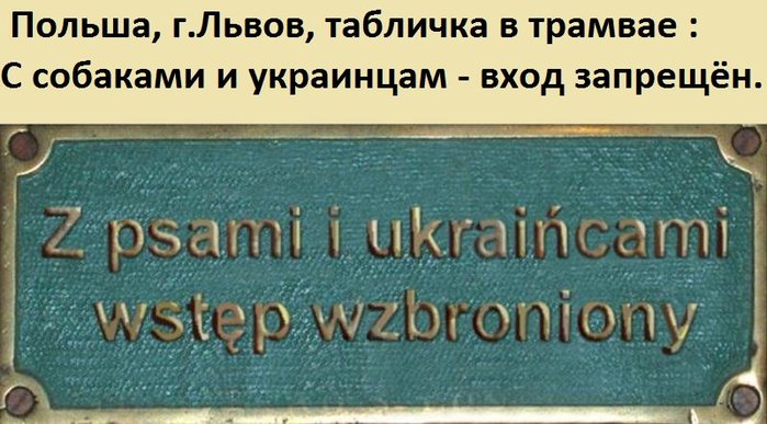 Medved tweet media