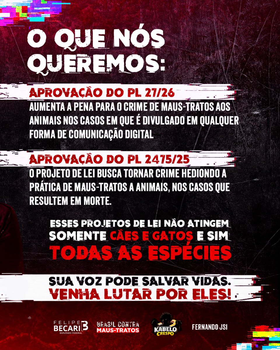 Felipe Becari tweet media