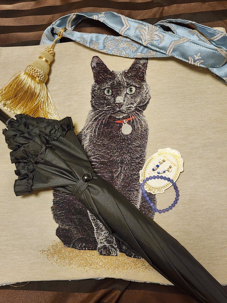 StrTakaya's tweet photo. その戦利品と抽選会でいただいた逸品❤
タンザナイトブレス、猫ちゃんラピスピアス(DONATELLA(@DONATELLA_U)さま)、黒猫トート(EULALIA(@tEULALIAt)さま)、日傘(apleberute（＠apleberute)さま
)。
カチューシャ(製作日和/clover(@seisakusen)さま)

#ロリィタアンドガールズポップアップ https://t.co/D9c4mKNAtS