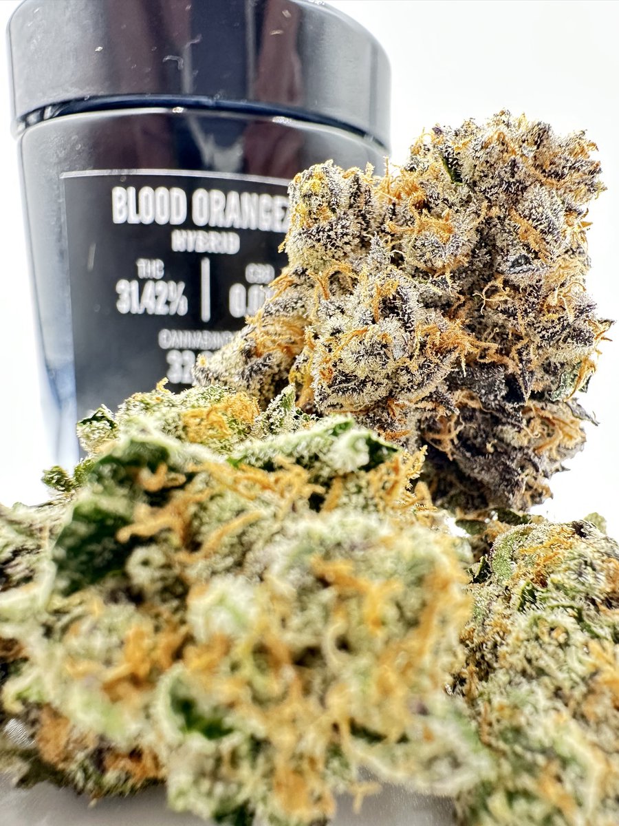 BLOOD ORANGEZ by Elusive LA (Zkittlez × Mimosa S1) Grown in CA
