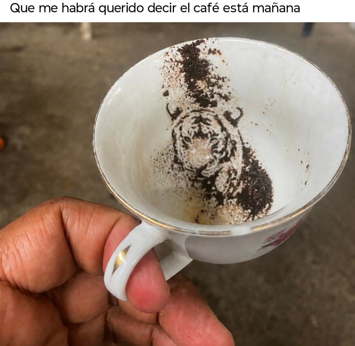 Liliana Cuadros👿👿👿👿 tweet media