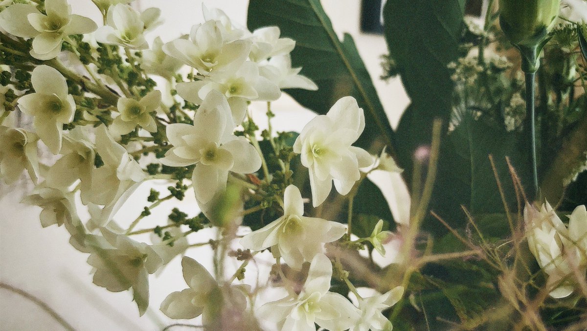 _yoru5_'s tweet photo. ひさしぶりに ほんとうにひさしぶりに花を束ねた ここ一年くらいはずっと一種か二種を置くだけだったから このカーネーションかわいいよね https://t.co/bNa4JZjDu1