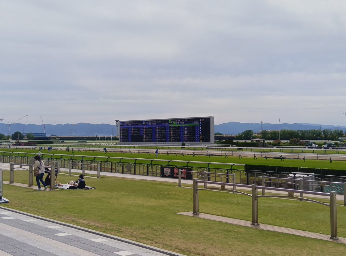 rotomaro's tweet photo. おはようございます。
府中の指定席は落選→家でゴロゴロするのもなあ→障害・平場オープンを観に行こうか
ということで淀です。

競馬を始めて20年くらいですが、日本ダービーだからといってワクワクしたり入れ込んだり掛かってしまったりということは未だに無いです。

#京都競馬場 https://t.co/8cSxUTlKNi