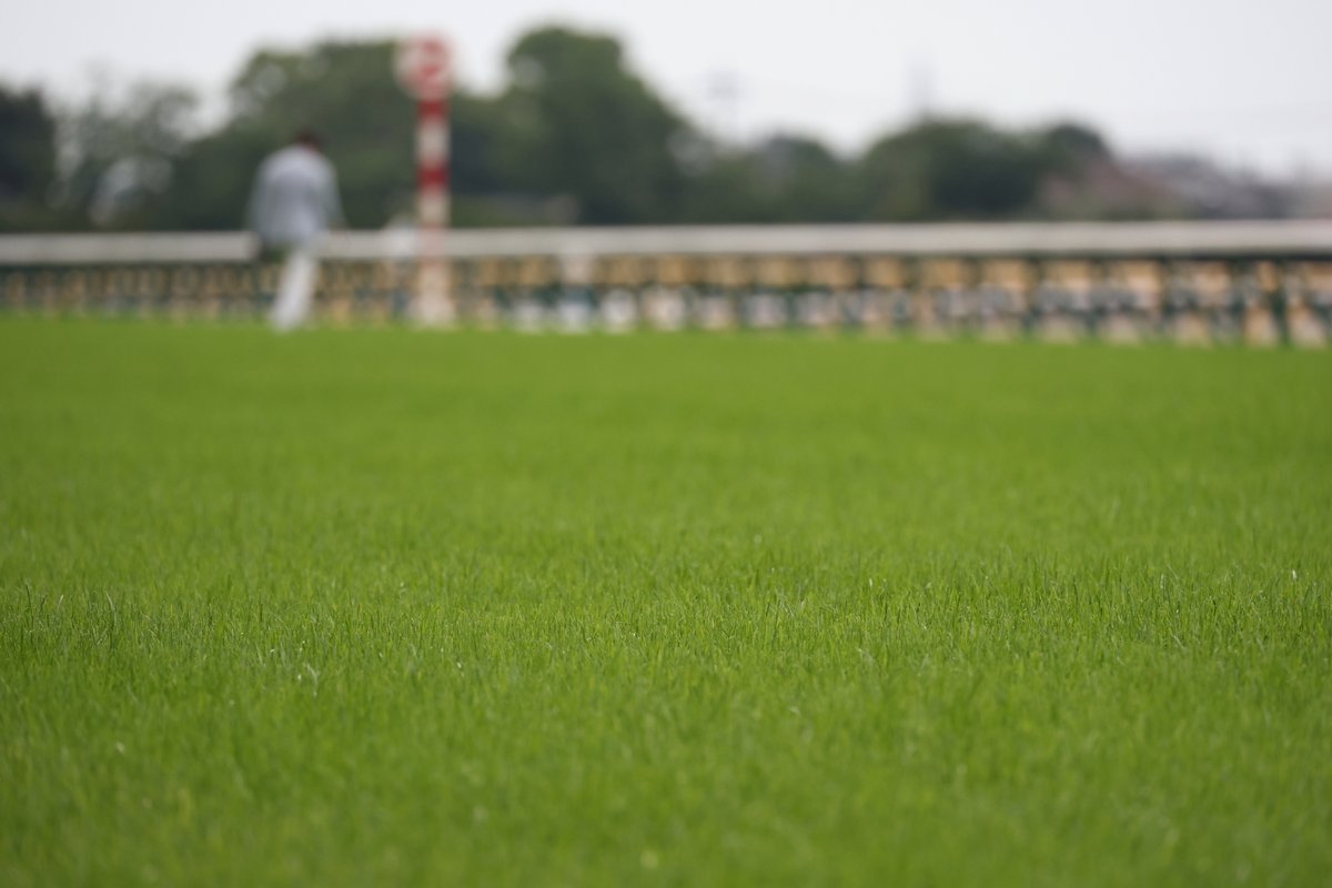 JRAVAN_info's tweet photo. 本日 #日本ダービー が行われる #東京競馬場 の天気は曇☁️
・馬場状態 芝： 良
・芝クッション値(7時00分測定) ： 9.8
・含水率(5時30分測定)：芝 ゴール前 13.5%、4コーナー 11.5%
と発表されています。

この後の気象情報はこちらでチェック！⇒
https://t.co/oLWq5eYGPT https://t.co/qEZZfNFbbb
