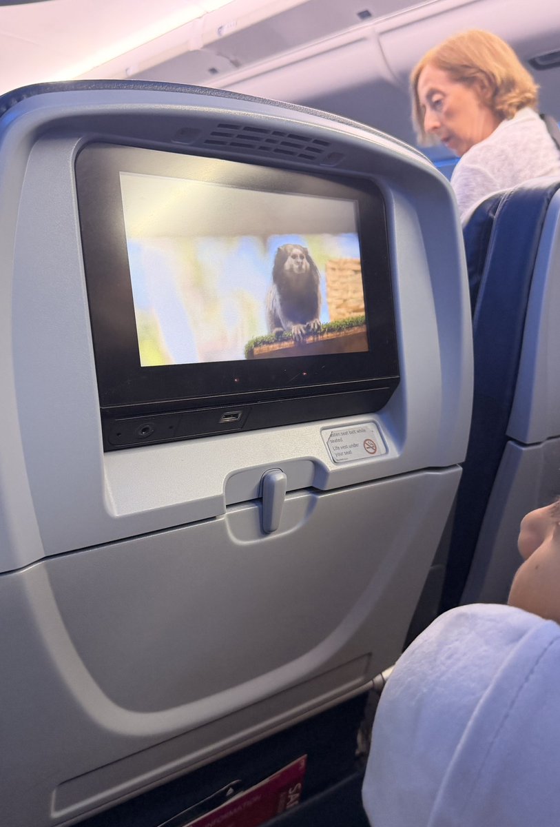 mayahiga's tweet photo. kid next to me on this plane is watching me and Mr. Beast I feel like I’m in a simulation https://t.co/Yo3Afcj7KT