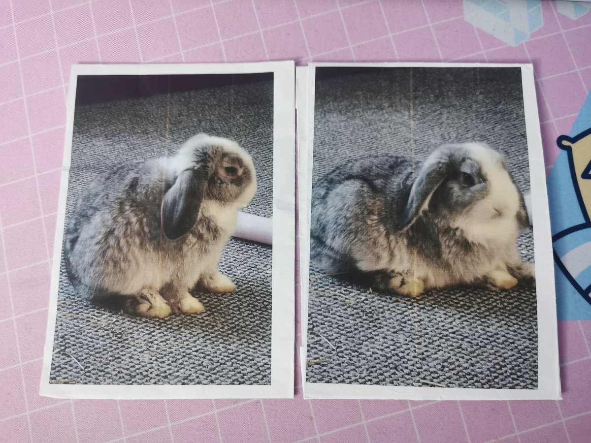 SuperJennna's tweet photo. I found some printed pics of Totoro while tidying up, I miss this lil bean so much. Can't believe it's getting close to a year since I lost him suddenly 💜 https://t.co/mAQu1qxEYj