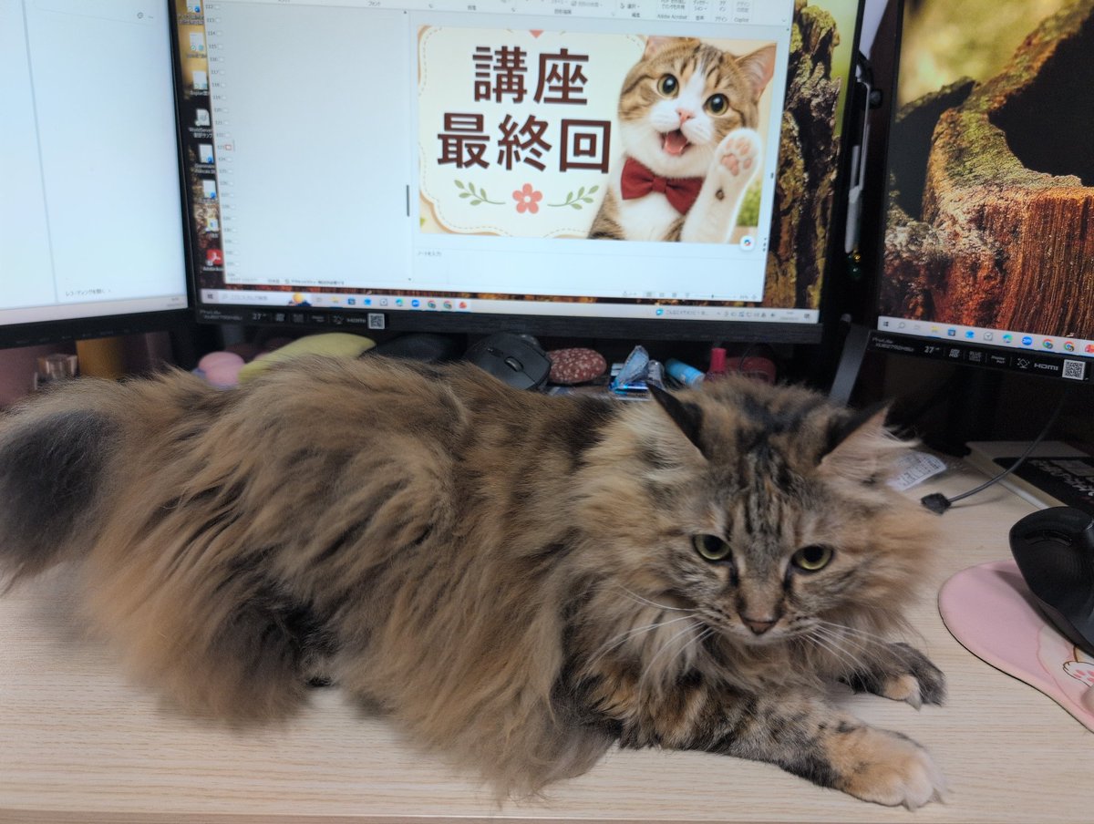 monchatkuma's tweet photo. 準備万端！
最終回といっても２週間後に継続講座があるんだけど…😁 https://t.co/Y7epNe221w