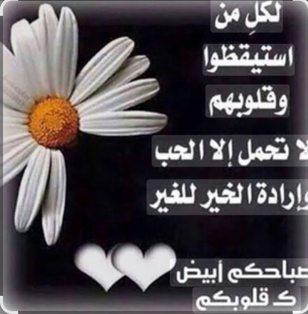 Dohaglow💫💫💫💫 tweet media