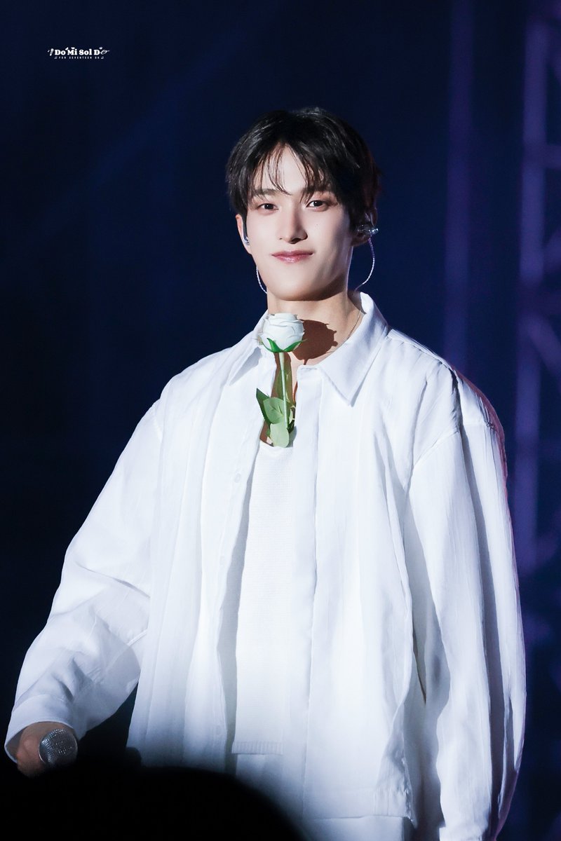 도미솔도겸 tweet media