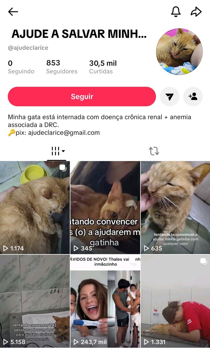 RT NO MEU FIXADO, me ajuda a salvar meu gatinho tweet media