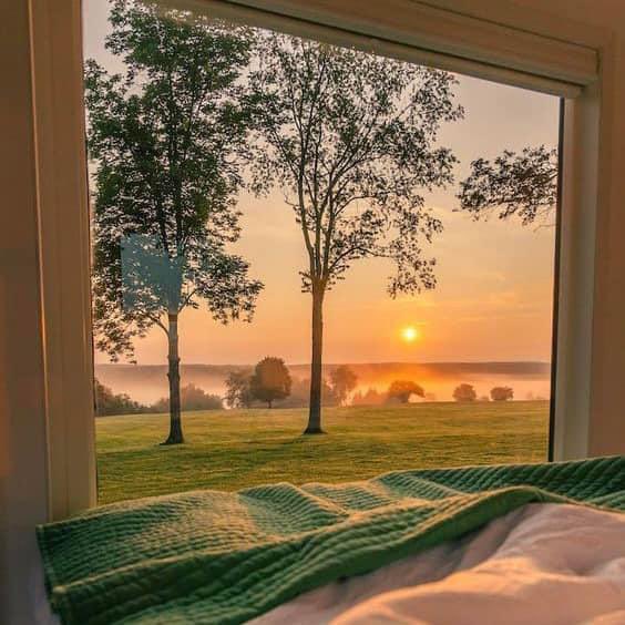 _Naturaee's tweet photo. i think i like this little life https://t.co/wEKs2LzUFc