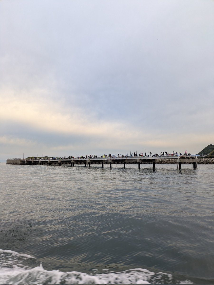 tamanegi347's tweet photo. 本日もオーナー様に乗せてもらいイサキ釣りに出航！釣れるといいなぁ🤤

豊浜桟橋は5時でこの盛況ぶり https://t.co/LCcSOmGVdJ