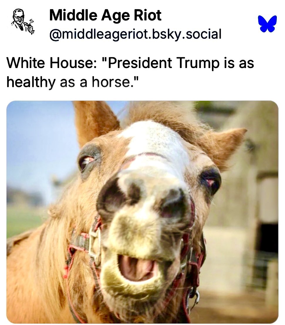 Peg Mansfield tweet media