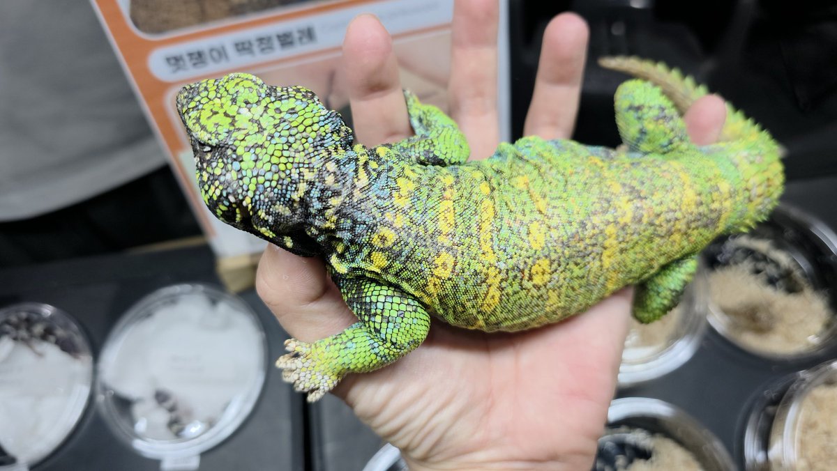 Thezoo_rep's tweet photo. https://t.co/S4EV1NHabv