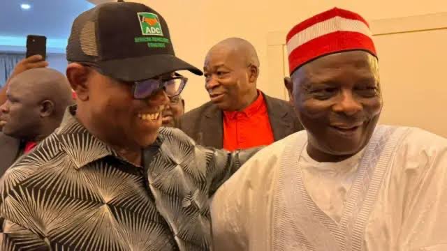 Obiasogu David tweet media