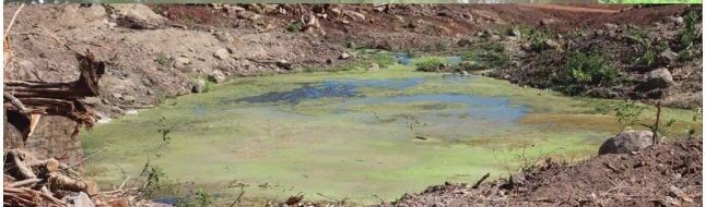 kengo1811's tweet photo. "Reforestación" en Bicentenario no es conciencia ambiental, sus acciones dicen lo contrario 👇
Laguna Condadillo, La Unión.
Antes y despúes de iniciar la contrucción del  Aeropuerto del Pacífico. https://t.co/WbxlSNelC7